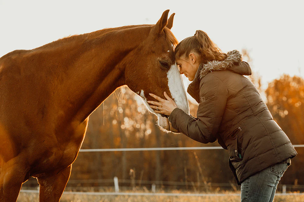 Fuel Your Horse's Inner Champion